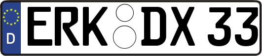 ERK-DX33