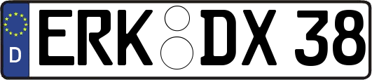 ERK-DX38