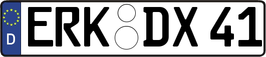 ERK-DX41