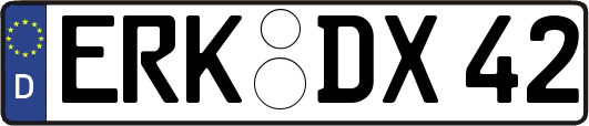 ERK-DX42