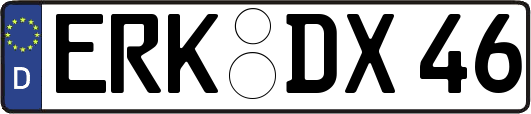 ERK-DX46