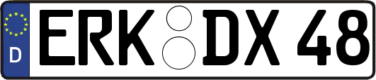 ERK-DX48