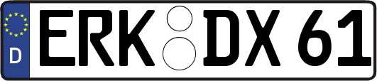 ERK-DX61