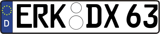 ERK-DX63
