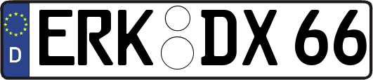 ERK-DX66