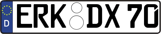 ERK-DX70