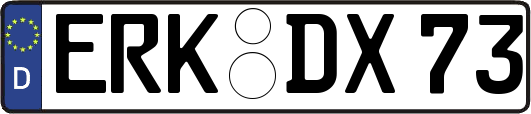 ERK-DX73