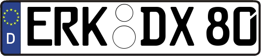 ERK-DX80