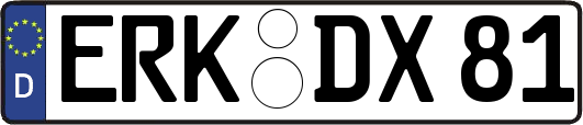 ERK-DX81