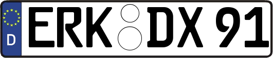 ERK-DX91