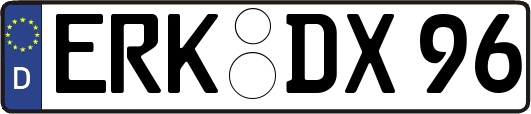 ERK-DX96
