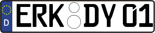 ERK-DY01