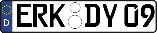 ERK-DY09