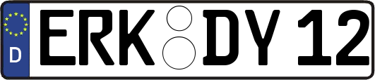 ERK-DY12