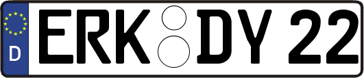 ERK-DY22