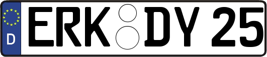 ERK-DY25