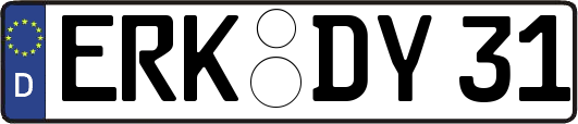ERK-DY31