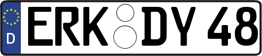 ERK-DY48
