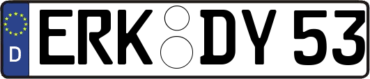 ERK-DY53