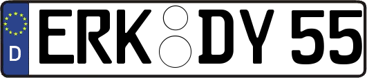 ERK-DY55