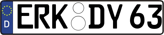 ERK-DY63