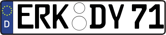 ERK-DY71