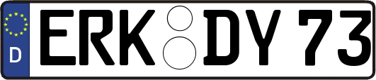 ERK-DY73