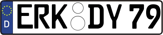 ERK-DY79