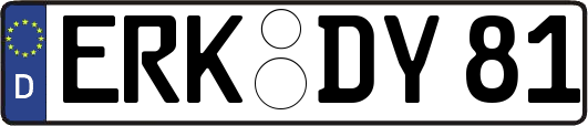 ERK-DY81