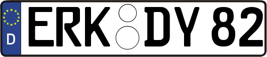 ERK-DY82