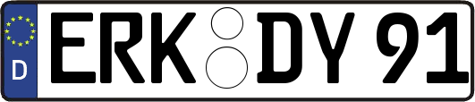 ERK-DY91