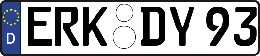 ERK-DY93