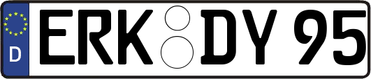 ERK-DY95