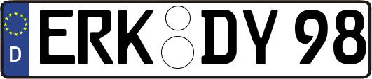 ERK-DY98