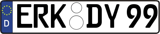 ERK-DY99