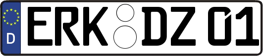 ERK-DZ01