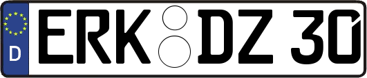 ERK-DZ30
