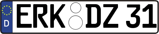 ERK-DZ31
