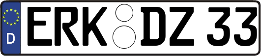 ERK-DZ33