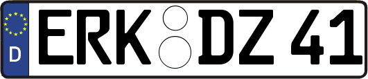 ERK-DZ41