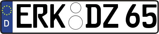 ERK-DZ65
