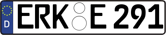 ERK-E291