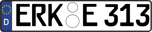 ERK-E313