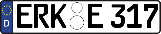 ERK-E317