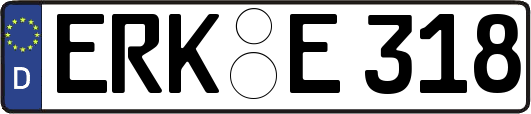 ERK-E318