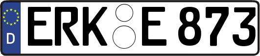ERK-E873