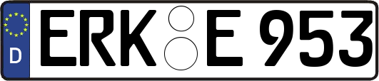 ERK-E953