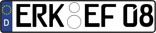 ERK-EF08