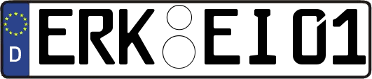 ERK-EI01