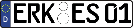 ERK-ES01